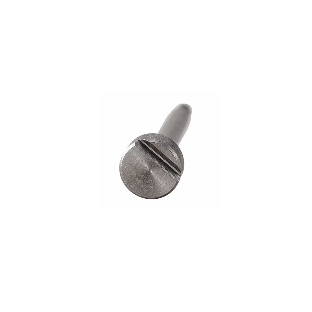 Bezzera Schaft D12 x 47 für Gelenkschraube