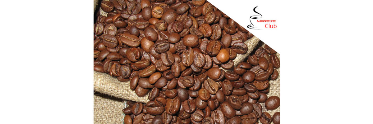 Ist Single Origin Kaffee wirklich besser? Die Fakten! - Ist Single Origin Kaffee wirklich besser? Die Fakten!